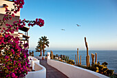 View over the terrace of Jardin Tecina Hotel at the ocean, Playa de Santiago, La Gomera, Canary Islands, Spain, Europe