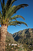 Palme und Valle Gran Rey unter blauem Himmel, La Gomera, Kanarische Inseln, Spanien, Europa
