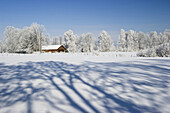 Winterlandschaft mit Scheune, Oberbayern, Deutschland