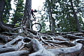 Mountainbiker riding through the forest, Lillehammer, Norway
