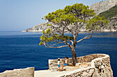 People sitting under a tree, view point at the coast, Zavala, Hvar Island, Dalmatia, Croatia, Europe