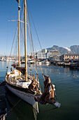 Sailing boat Spirit of Victoria in the harbour and Waterfront with view towards Table Mountain, Cape Town, Western Cape, South Africa, Africa