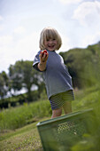 Junge hält frische Erdbeeren in der Hand, biologisch-dynamische Landwirtschaft, Demeter, Niedersachsen, Deutschland
