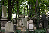Old Jewish Cemetery, Dresden, Saxony, Germany