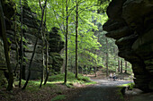 Uttewalder Ground, Saxon Switzerland National Park, Lohmen, Saxony, Germany