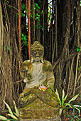 Buddhastatue im Garten des Matahari Hotel, Pemuteran, Nordwest Bali, Indonesien, Asien