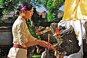 Young woman bringing oblation to the temple of the hotel, Nusa Dua Beach Hotel, Nusa Dua, Bali, Indonesia, Asia