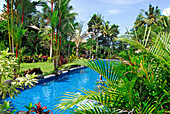 Pool des Hotel Sacred Mountain Sanctuary im Sonnenlicht, Sidemen, Ost Bali, Indonesien, Asien
