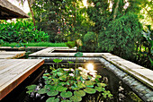 Teich mit Lotus auf dem Dach eines Bungalow, Hotel Four Seasons, Sayan, Ubud, Zentral Bali, Indonesien, Asien