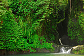 Einsamer Wasserfall unter Bäumen, Nord Bali, Inonesien, Asien