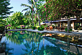 Pool unter Palmen im Mimpi Resort, Tulamben, Nord Ost Bali, Indonesien, Asien