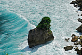 Rocky island with tree in the surf at Pura Luhur Uluwatu, South Bali, Indonesia, Asia