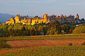 View of Carcassonne, La Cité, Citadel with city walls, The Way of St. James, Roads to Santiago, Via Tolosana, Chemins de St. Jacques, Carcassonne, Dept. Aude, Région Languedoc-Roussillon, France, Europe