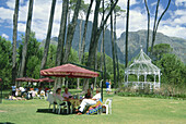 Picnic ground at Boschendal Estate, Stellenbosch, Western Cape, South Africa, Africa