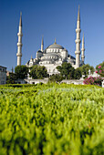 Blue Mosque, Istanbul. Turkey