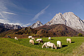 Lescun valley, Pyrenees Mountains. France.