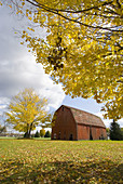 Autumn fall color pastoral farm scene near Springfield Illinois