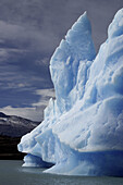 El Calafate, Patagonia. Argentina