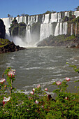 Waterfalls, Iguazu National Park, Argentina-Brazil border