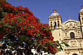 Church of Santo Domingo. Oaxaca, Mexico