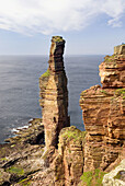 The Old Man Of Hoy a 450' tall sea stack on the Isle of Hoy Orkney Islands Scotland