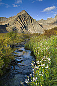Grizzly Creek, Tombstone Territorial Park, Yukon, Canada