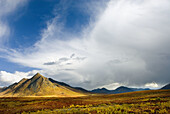 Ogilvie Mountains in autumn color, Tombstone territorial Park, Yukon, Canada
