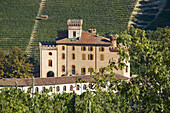 Italy, Piedmont, Barolo village in Langhe region
