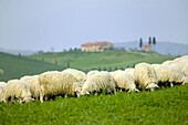 Italy, Tuscany, Val d'Orcia.