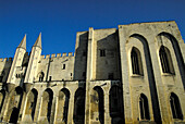 Popes Palace (14th century), Avignon. Provence, France