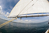 Schooner Nathaniel Bowditch sailing in Penobscot Bay, Maine USA