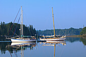 Sailboats, Holbrook Bay (part of Penobscot Bay), Maine USA
