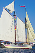 Schooner Heritage sailing into Pulpit harbor, Penobscot Bay, Maine USA