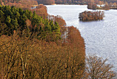 Lake of Feldberg with islands and surrounding beech forests, heritage of ice age. Lakes of Mecklenburg-Western Pomerania, Germany