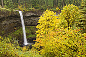 South Silver Falls in Autumn - Silver Falls State Park, Oregon