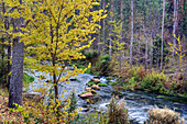 Gallo River. Guadalajara province, Spain