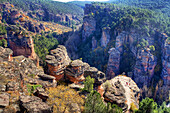 Viewpoint, Sickle of Gallo River. Guadalajara province, Spain