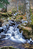 Arroyo del Sestil. Sierra de Guadarrama. Madrid. Spain.