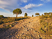 Road in 'Cadalso de los Vídrios'. Madrid. Spain.