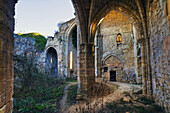 Ruins of Bonabal monastery. Castilla la Mancha. Spain.