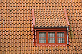 Attic with red window in old tile roof. Jutland, Denmark.