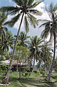 Beach cottage with palm trees, Mae Hat Bay, Ko Pha Ngan, Thailand