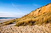 Strand und Rotes Kliff, Kampen, Sylt, Nordfriesland, Schleswig-Holstein, Deutschland