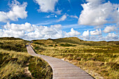 Boardwalk in the dunes near Kampen, Sylt Island, Schleswig-Holstein, Germany
