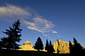 Nadelbäume und sonnenbeschienene Berge am Abend, Gröden, Südtirol, Italien, Europa