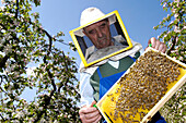 Beekeeper with honeycomb, Apiarist, Honey bees, South Tyrol, Italy