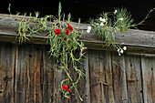 Balcony with flowers, Farmhouse in the South Tyrolean local history museum at Dietenheim, Puster Valley, South Tyrol, Italy