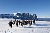 Eine Gruppe Männer laufen durch den Schnee, Seiser Alm, Südtirol, Italien