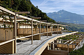 Terraces of the design hotel Pergola Residence in the sunlight, Merano, Val Venosta, South Tyrol, Italy, Europe