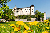 Schloss Prösels mit Blumenwiese im Sonnenlicht, Völs am Schlern, Südtirol, Italien, Europa